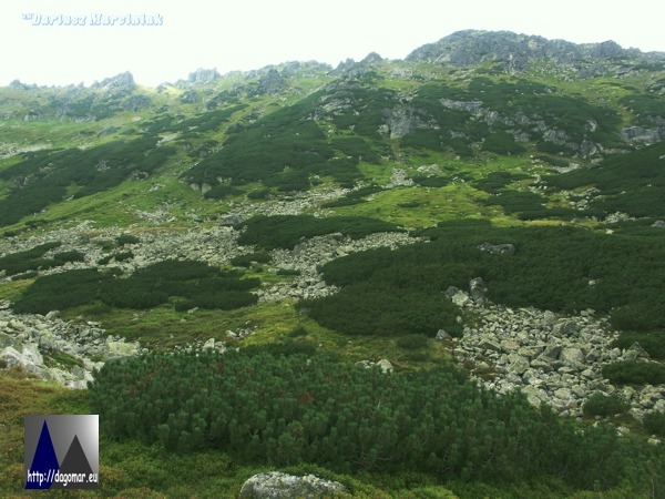 Owcze Turniczki i Żabi Szczyt Niżni